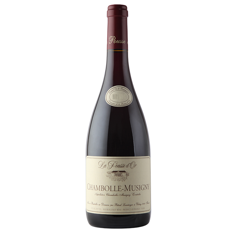 Domaine De La Pousse D'or Chambolle-Musigny | French Wine